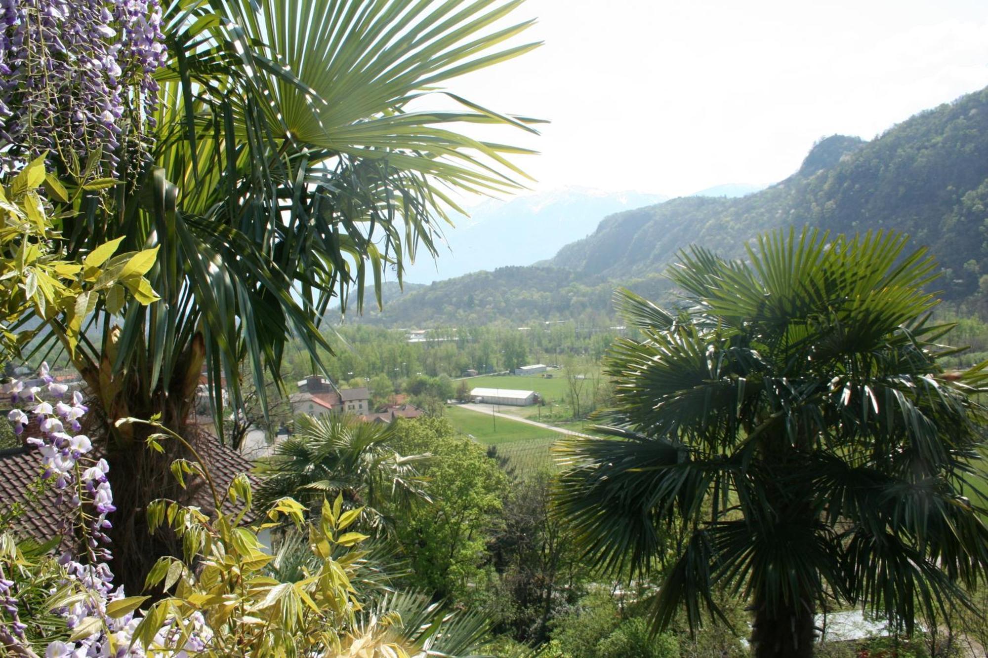 Casa Aries & Studio Aurora Apartment Cavigliano