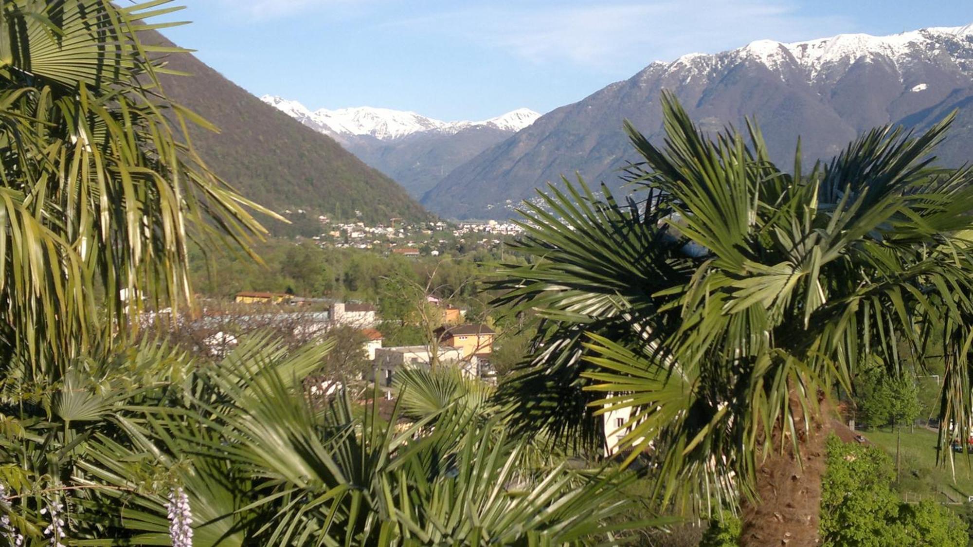 Casa Aries & Studio Aurora Cavigliano